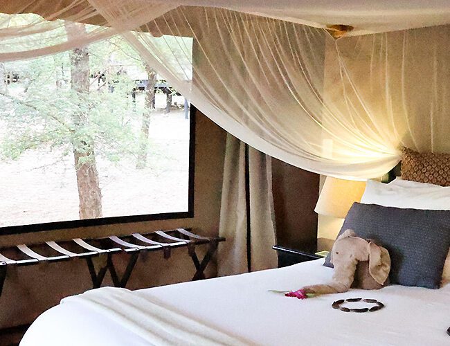 Chisomo Safari Lodges